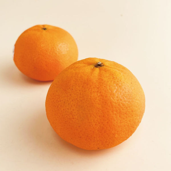 🍊歐洲茂谷柑🍊