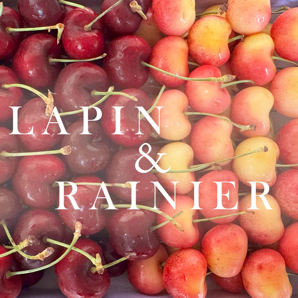 ✨新上市✨｜雙色櫻桃｜❤️LAPIN & RAINIER🤍｜🍒味覺盛宴組🍒